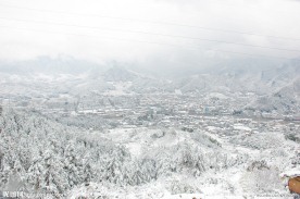 雪景