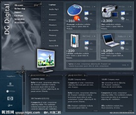 IT行业类数码网站