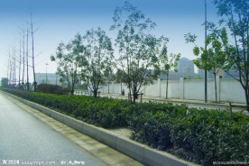小河路道路景观照片