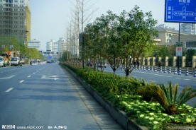 2009道路绿化银奖奖 小河路道路景观照片