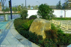 小河路道路景观照片 路边小景