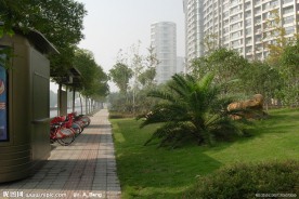 路侧道景观照片