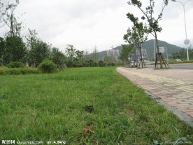 冠山隧道绿化景观照片