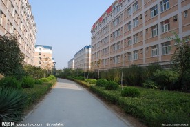 河南工业大学校园