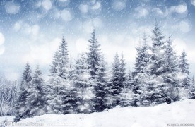 冬季雪景高清图片