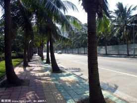 湛江霞山海边马路