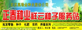 种子服务站门头 籽种经营部门头