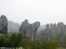石林风景