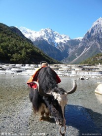 云南 玉龙雪山
