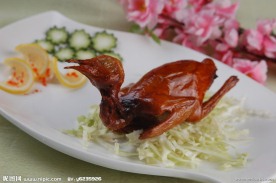 妙龄乳鸽