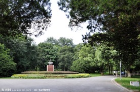中山植物园