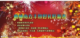 庆新年