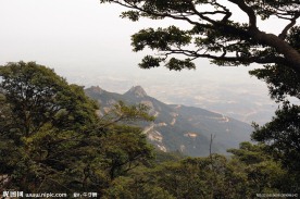 山景
