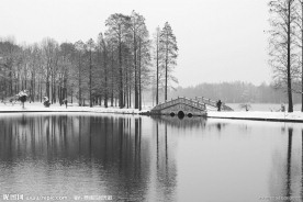 东湖雪景