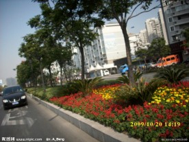 2009道路绿化金奖 钱江路景观照片