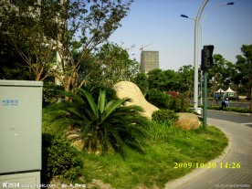 2009道路绿化银奖钱江路