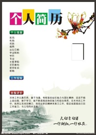 简历模版