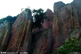 2009道路绿化银之江路宋城段