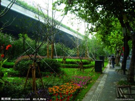 2009道路绿化优胜奖中山路绿化整治
