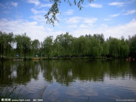 柳林湖风光