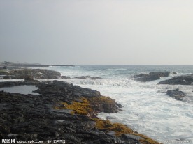 夏威夷海岸风光