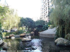 小区景色