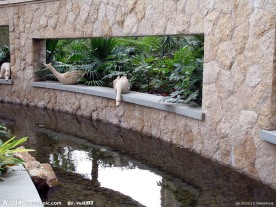 水景局部