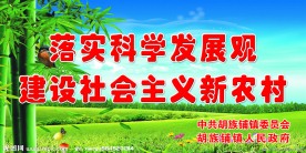 落实科学发展观 新农村建设