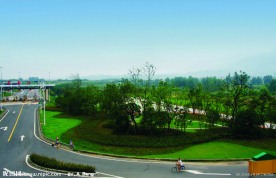 2009道路绿化优胜奖滨盛路绿化