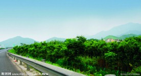 2009道路绿化优胜奖滨盛路绿化