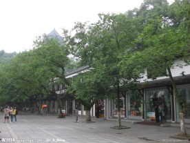 2009道路绿化优胜奖虎跑路及之江路沿线环境整治工程