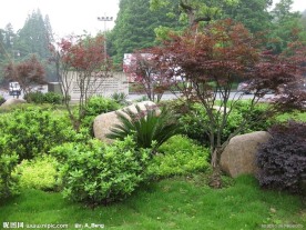 2009道路绿化优胜奖虎跑路及之江路沿线环境整治工程