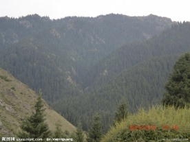 南山