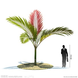 精美植物3D模型