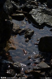 闪烁的水光