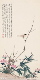 花鸟国画
