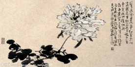 国画牡丹