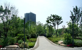 2009公园绿化金奖杭州城北体育公园