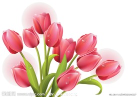 郁金香矢量素材