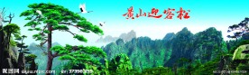 黄山迎客松（分层不精细）