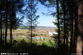 雅河风景