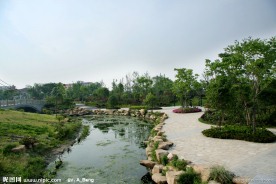 2009公园绿化金奖杭州城北体育公园