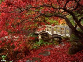日本风景