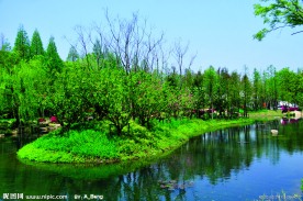 2009公园绿化金奖长桥溪公园