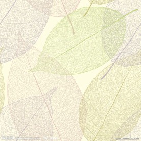 手绘线条树叶背景