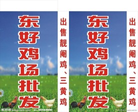 鸡场批发