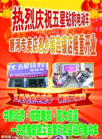 五星钻豹电动车宣传单