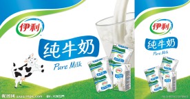 伊利手提袋