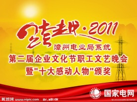 国家电网跨跃2011