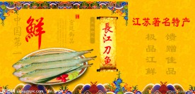长江刀鱼拎袋